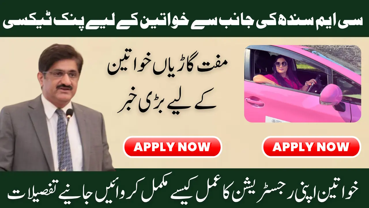 Pink Taxi Scheme Sindh – Official Launch Date and Key Details for 2025